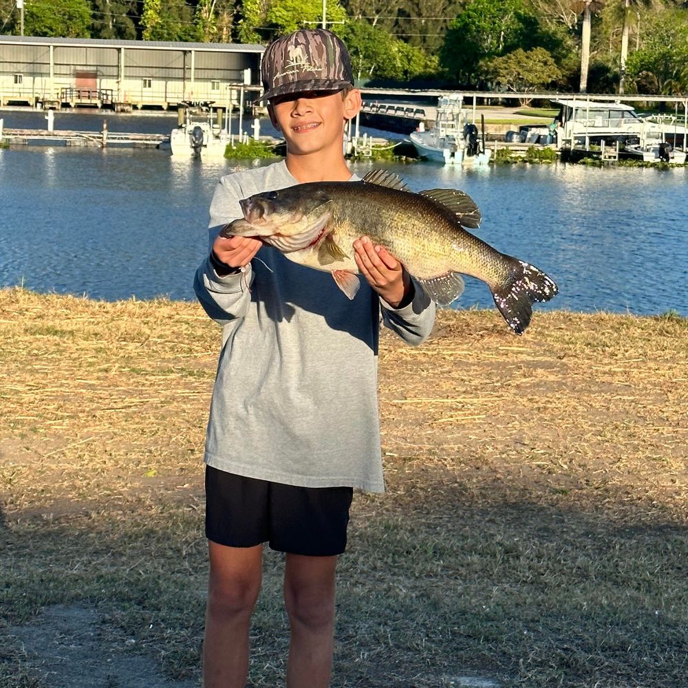 Meet your Posher, Corbin